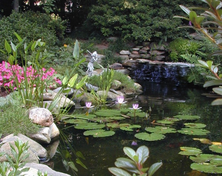 natural pond waterfall